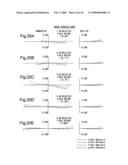 ZOOM LENS diagram and image