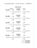 ZOOM LENS diagram and image