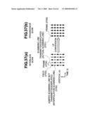 VIDEO SIGNAL RECORDING/REPRODUCING APPARATUS diagram and image