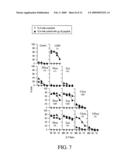 Method of inducing a CTL response diagram and image