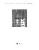 GROUP A STREPTOCOCCAL VACCINES diagram and image