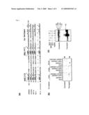 METHODS OF DETECTING METHYL TRANSFERASE ACTIVITY AND METHODS OF SCREENING FOR METHYL TRANSFERASE ACTIVITY MODULATORS diagram and image