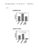 METHODS OF DETECTING METHYL TRANSFERASE ACTIVITY AND METHODS OF SCREENING FOR METHYL TRANSFERASE ACTIVITY MODULATORS diagram and image