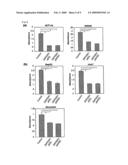 METHODS OF DETECTING METHYL TRANSFERASE ACTIVITY AND METHODS OF SCREENING FOR METHYL TRANSFERASE ACTIVITY MODULATORS diagram and image