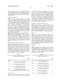 METHODS OF DETECTING METHYL TRANSFERASE ACTIVITY AND METHODS OF SCREENING FOR METHYL TRANSFERASE ACTIVITY MODULATORS diagram and image