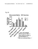 fHbp- AND LPXL1-BASED VESICLE VACCINES FOR BROAD SPECTRUM PROTECTION AGAINST DISEASES CAUSED BY NEISSERIA MENINGITIDIS diagram and image