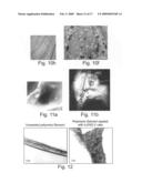 Composite scaffolds and methods using same for generating complex tissue grafts diagram and image