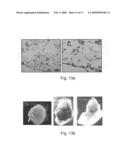 Composite scaffolds and methods using same for generating complex tissue grafts diagram and image