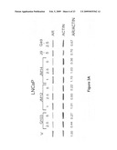 Compositions including androgen receptor degradation (ARD) enhancers and methods of prophylactic or therapeutic treatment of skin disorders and hair loss diagram and image