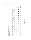 Compositions including androgen receptor degradation (ARD) enhancers and methods of prophylactic or therapeutic treatment of skin disorders and hair loss diagram and image