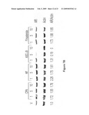 Compositions including androgen receptor degradation (ARD) enhancers and methods of prophylactic or therapeutic treatment of skin disorders and hair loss diagram and image