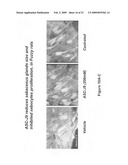 Compositions including androgen receptor degradation (ARD) enhancers and methods of prophylactic or therapeutic treatment of skin disorders and hair loss diagram and image