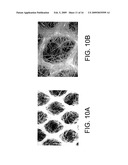 HIGH EFFICIENCY BIOCONVERSION SURFACE MATERIALS diagram and image