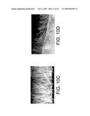 HIGH EFFICIENCY BIOCONVERSION SURFACE MATERIALS diagram and image