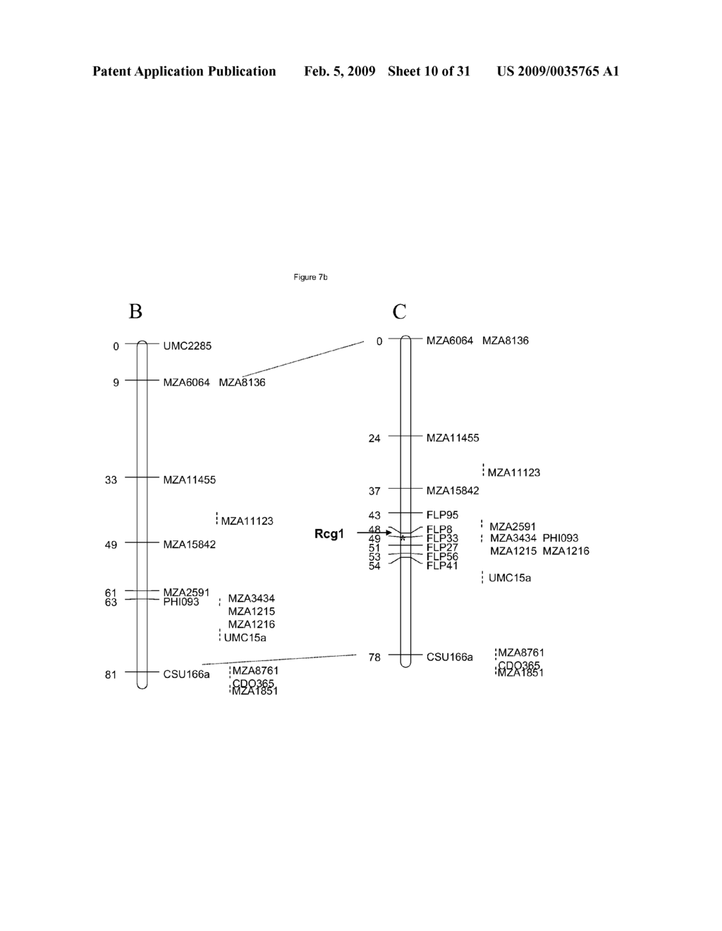 Polynucleotides and methods for making plants resistant to fungal pathogens - diagram, schematic, and image 11