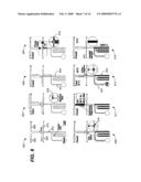 Inline-injection microdevice and microfabricated integrated DNA analysis system using same diagram and image