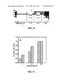 FLUORESCENT PROTEINS AND USES THEREOF diagram and image