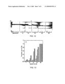 FLUORESCENT PROTEINS AND USES THEREOF diagram and image