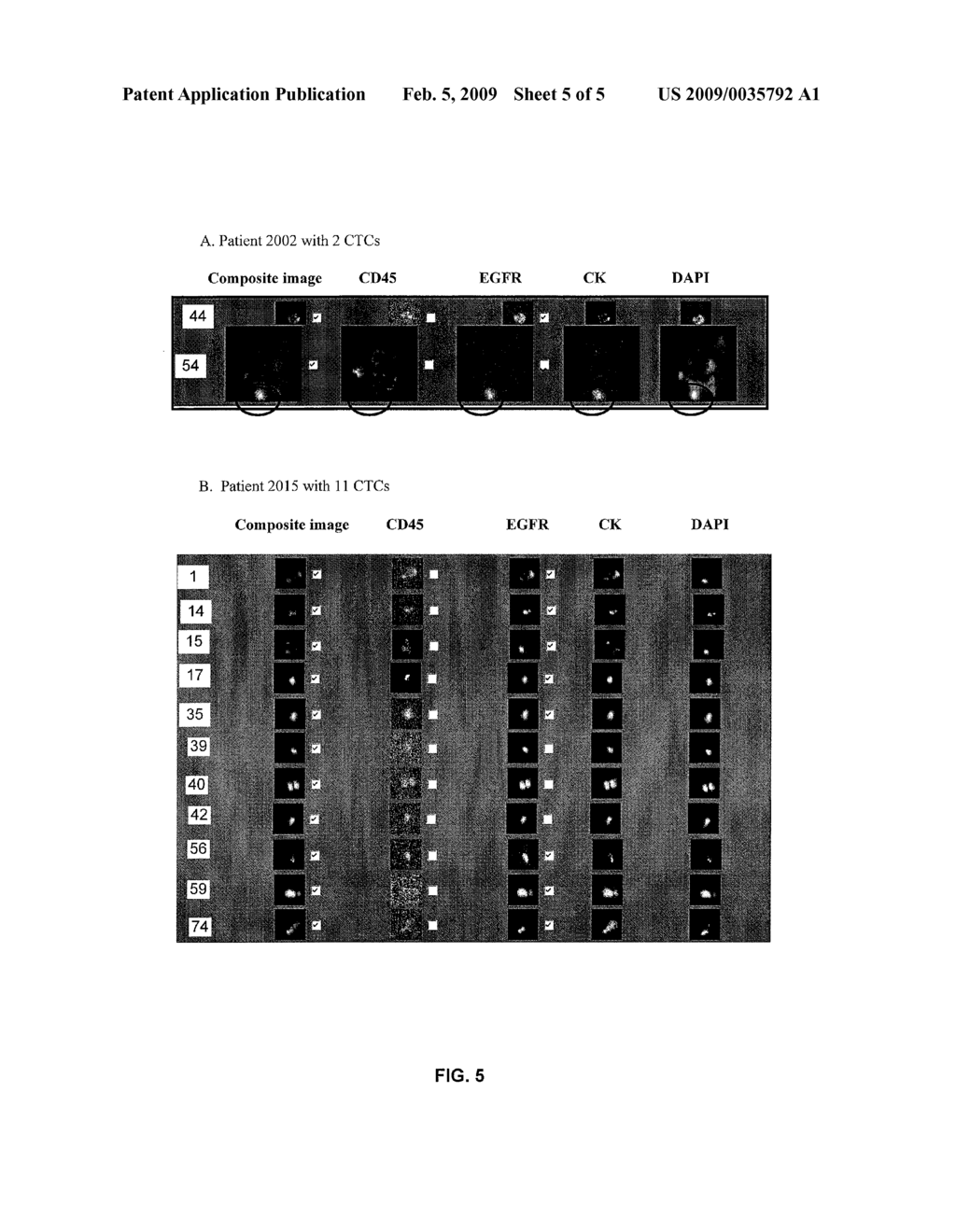 DRUG SELECTION FOR LUNG CANCER THERAPY USING ANTIBODY-BASED ARRAYS - diagram, schematic, and image 06