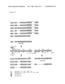 NOVEL TRYPSIN FAMILY SERINE PROTEASES diagram and image