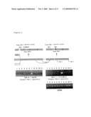 NOVEL TRYPSIN FAMILY SERINE PROTEASES diagram and image