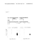 NOVEL TRYPSIN FAMILY SERINE PROTEASES diagram and image