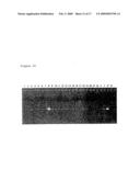 NOVEL TRYPSIN FAMILY SERINE PROTEASES diagram and image