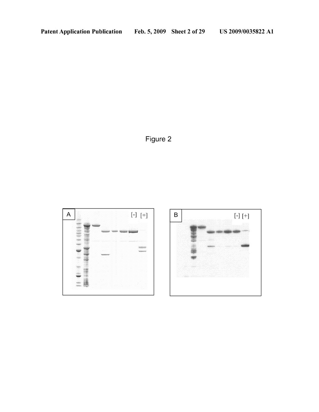 Fusion Proteins - diagram, schematic, and image 03