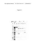 Fusion Proteins diagram and image