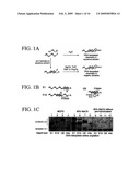 NUCLEIC ACID-TEMPLATED CHEMISTRY IN ORGANIC SOLVENTS diagram and image