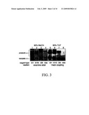 NUCLEIC ACID-TEMPLATED CHEMISTRY IN ORGANIC SOLVENTS diagram and image