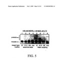 NUCLEIC ACID-TEMPLATED CHEMISTRY IN ORGANIC SOLVENTS diagram and image