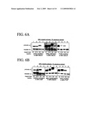 NUCLEIC ACID-TEMPLATED CHEMISTRY IN ORGANIC SOLVENTS diagram and image