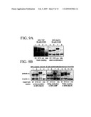 NUCLEIC ACID-TEMPLATED CHEMISTRY IN ORGANIC SOLVENTS diagram and image