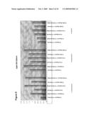 Sucrose Feedstock Utilization for Oil-Based Fuel Manufacturing diagram and image