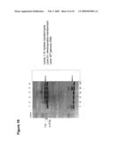 Sucrose Feedstock Utilization for Oil-Based Fuel Manufacturing diagram and image