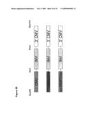 Sucrose Feedstock Utilization for Oil-Based Fuel Manufacturing diagram and image