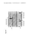 Sucrose Feedstock Utilization for Oil-Based Fuel Manufacturing diagram and image