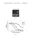 METHODS AND COMPOSITIONS FOR THE SPECIFIC INHIBITION OF GENE EXPRESSION BY DOUBLE-STRANDED RNA diagram and image