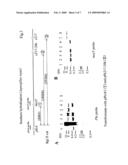 Method for the deletion of a large chromosomal region diagram and image