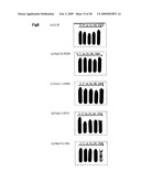 Method for measuring maturity degree of compost and measuring solution diagram and image