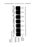 Method for measuring maturity degree of compost and measuring solution diagram and image