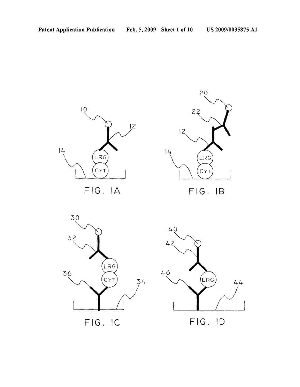 Cytochrome C And Leucine-Rich Alpha-2-Glycoprotein-1 Assays, Methods, And Antibodies - diagram, schematic, and image 02