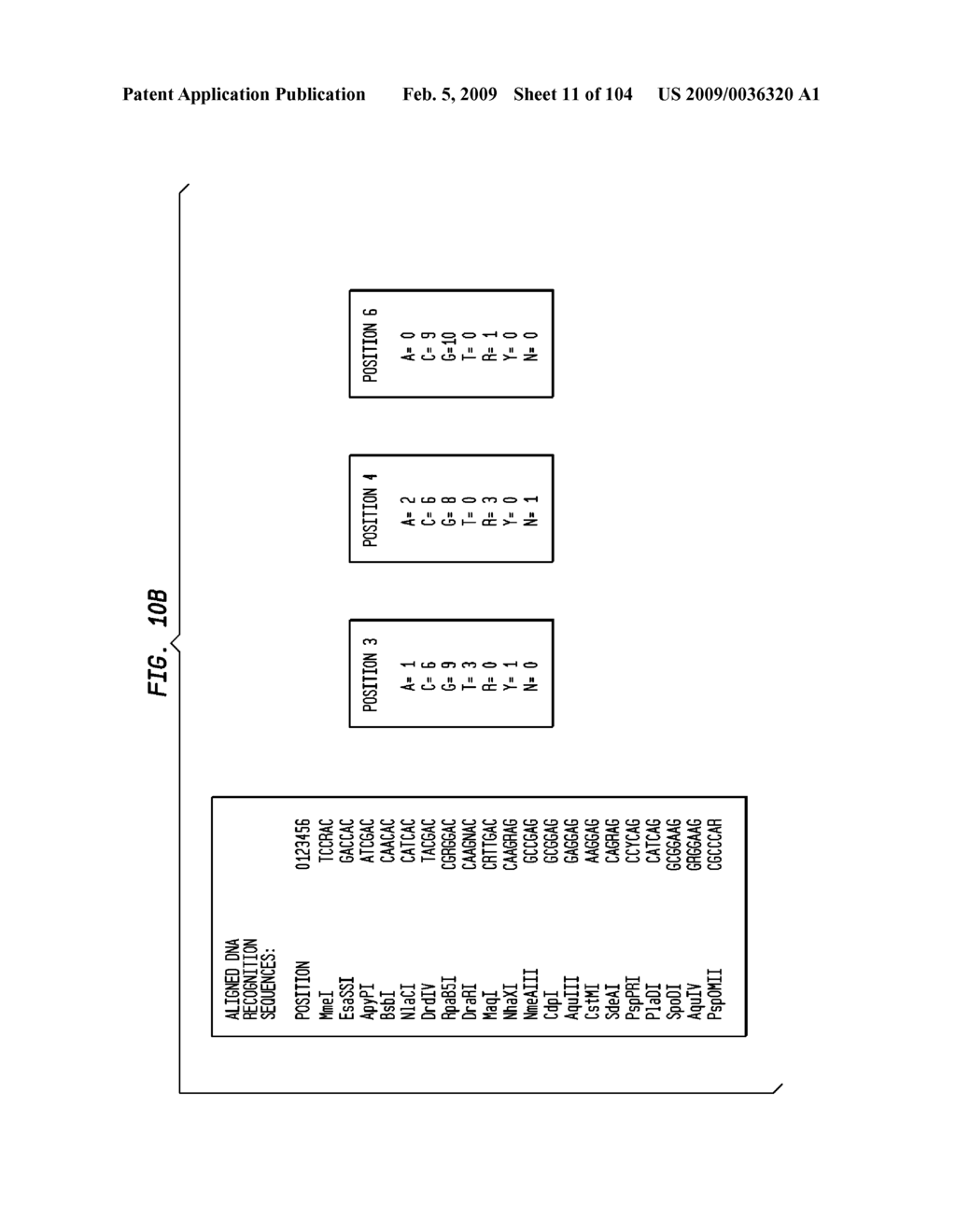 Rational Design of Binding Proteins That Recognize Desired Specific Sequences - diagram, schematic, and image 12