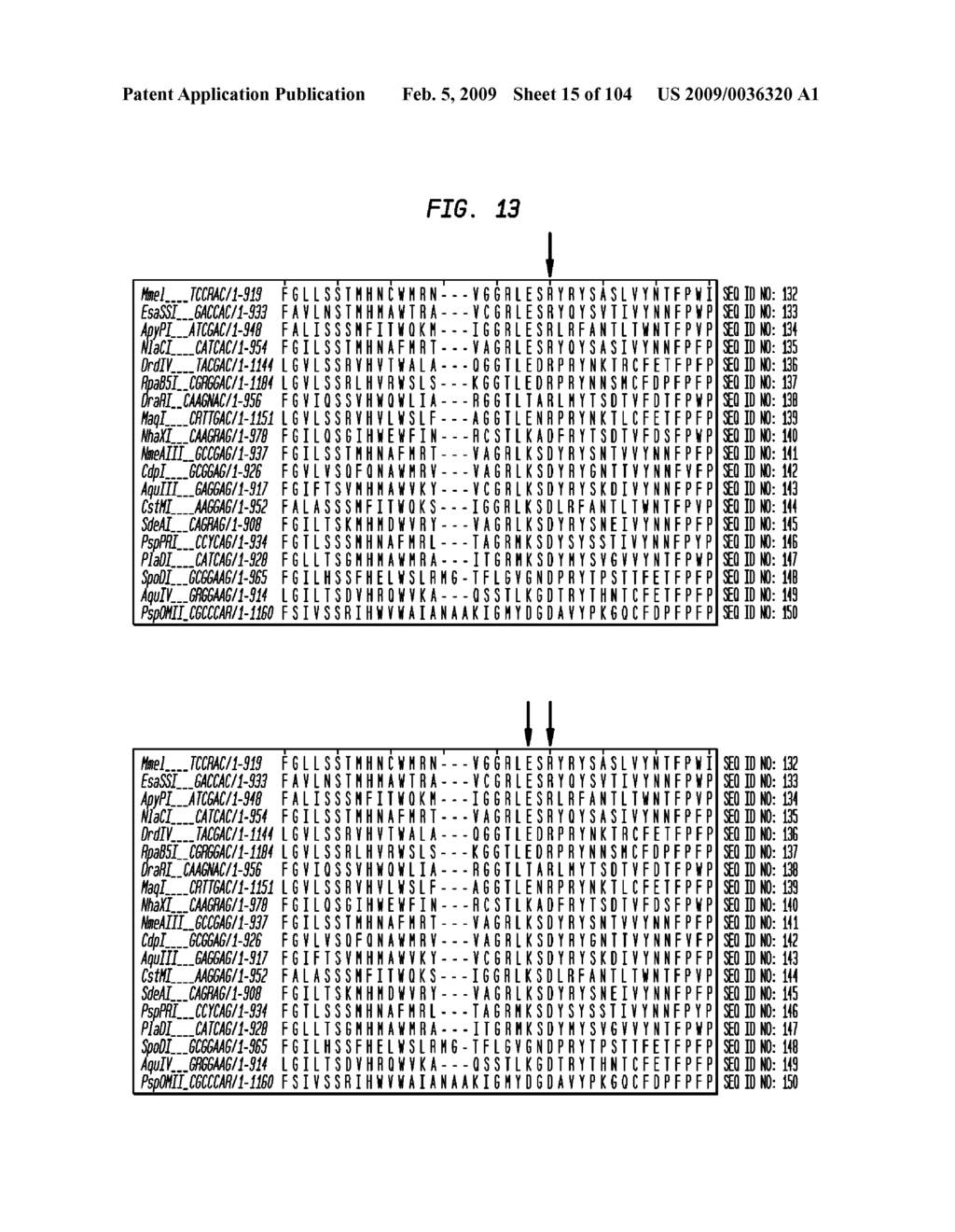 Rational Design of Binding Proteins That Recognize Desired Specific Sequences - diagram, schematic, and image 16