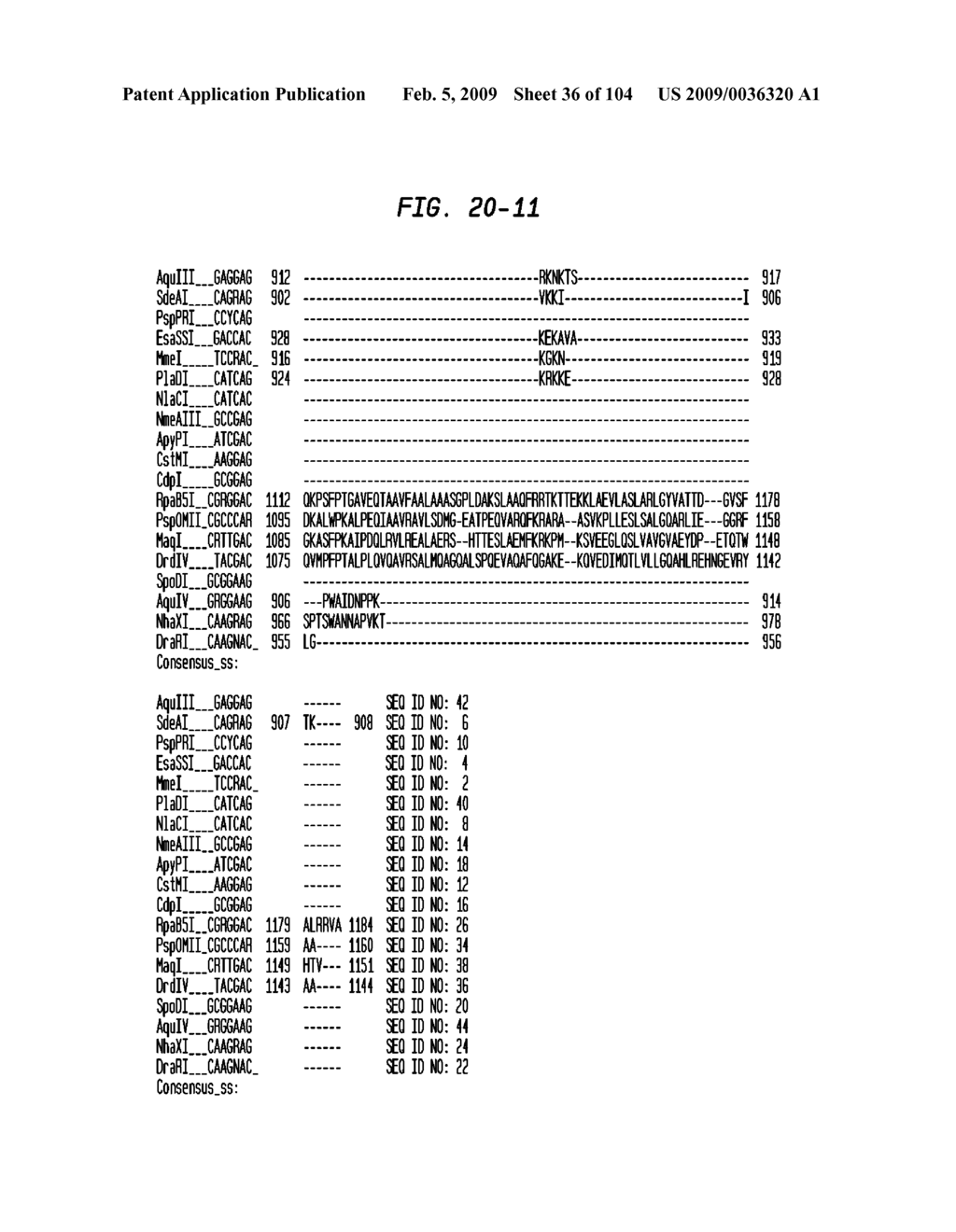 Rational Design of Binding Proteins That Recognize Desired Specific Sequences - diagram, schematic, and image 37