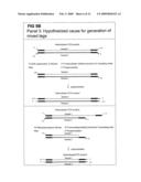 STRATEGIES FOR HIGH THROUGHPUT IDENTIFICATION AND DETECTION OF POLYMORPHISMS diagram and image