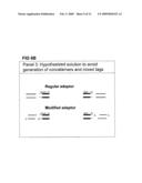 STRATEGIES FOR HIGH THROUGHPUT IDENTIFICATION AND DETECTION OF POLYMORPHISMS diagram and image