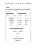 STRATEGIES FOR HIGH THROUGHPUT IDENTIFICATION AND DETECTION OF POLYMORPHISMS diagram and image