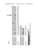 STRATEGIES FOR HIGH THROUGHPUT IDENTIFICATION AND DETECTION OF POLYMORPHISMS diagram and image